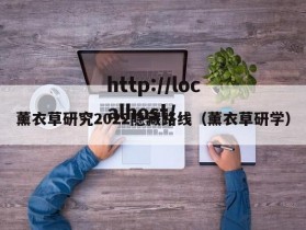 薰衣草研究2022隐藏路线（薰衣草研学）